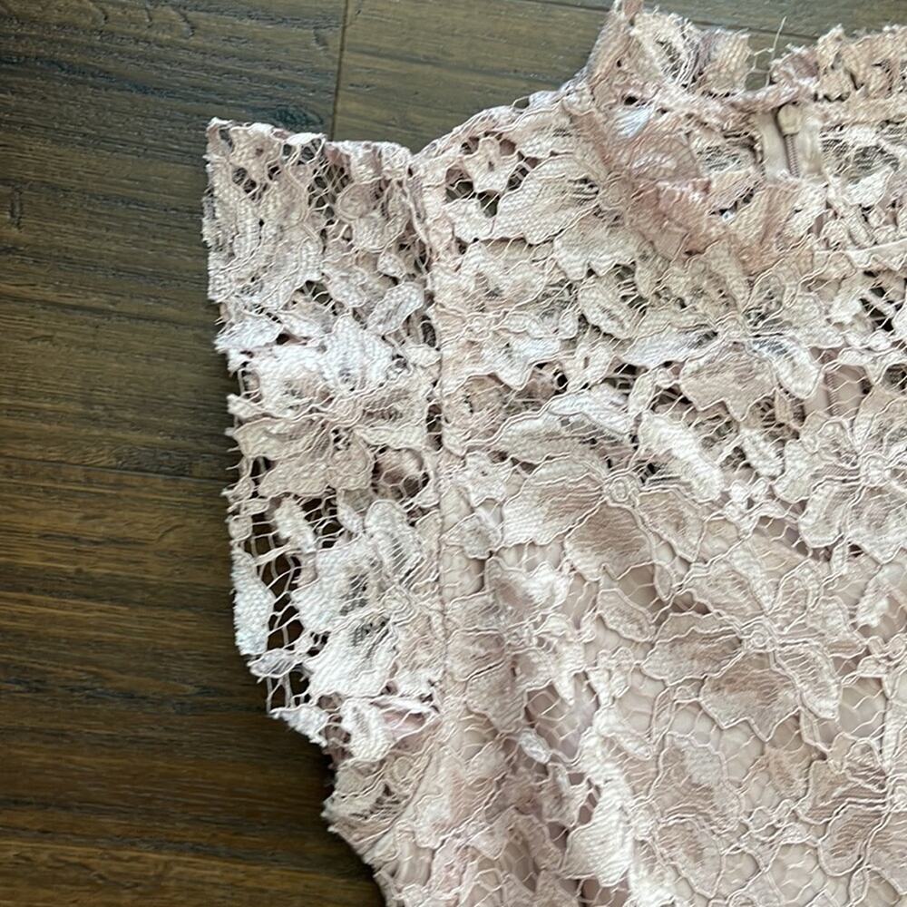 Enfocus Studio NWT Lace fabric with interior lining Dress. - Picture 4 of 10